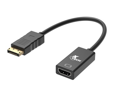 Xtech - Display adapter - 20 pin DisplayPort XTC-378